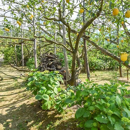 Maggie's Paradise Holiday home